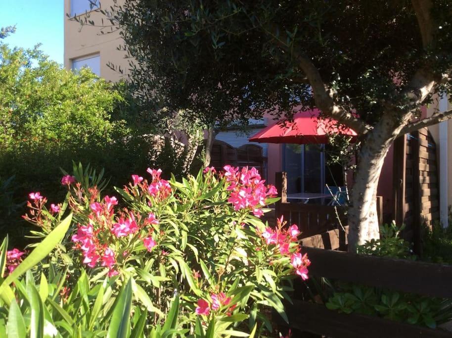Cap Agde Studio-Cabine Jardin Clos, Port Et Plage 외부 사진
